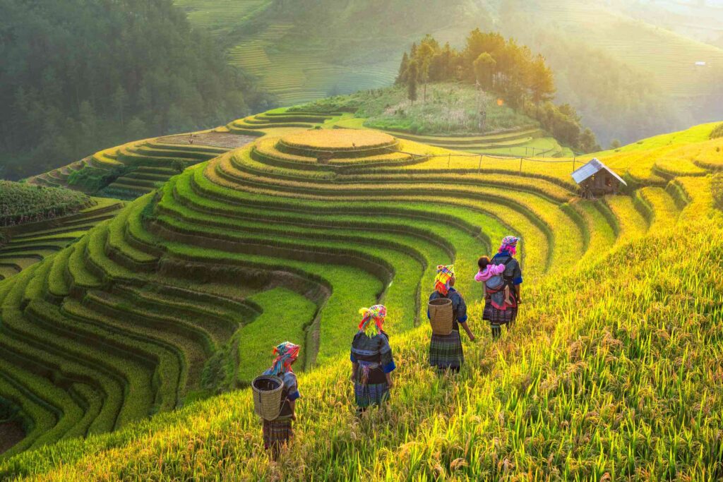sapa trekking vietnam travel and tours packages best things to do in vietnam travel guide to Hanoi tours Ho Chi Minh City tours Ha Long Bay cruises Mekong Delta exploration Sapa travel Hue heritage tours Hoi An ancient town Nha Trang beach vacations Phu Quoc island escapes
