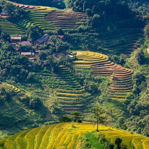 Ha Giang Loop Vietnam tours from Hanoi Best things to do in Hagiang Homestay Hostel Dong Van Meo Vac Lung Cu Ma Pi Leng Tam Giac Mach Mu Cang Chai
