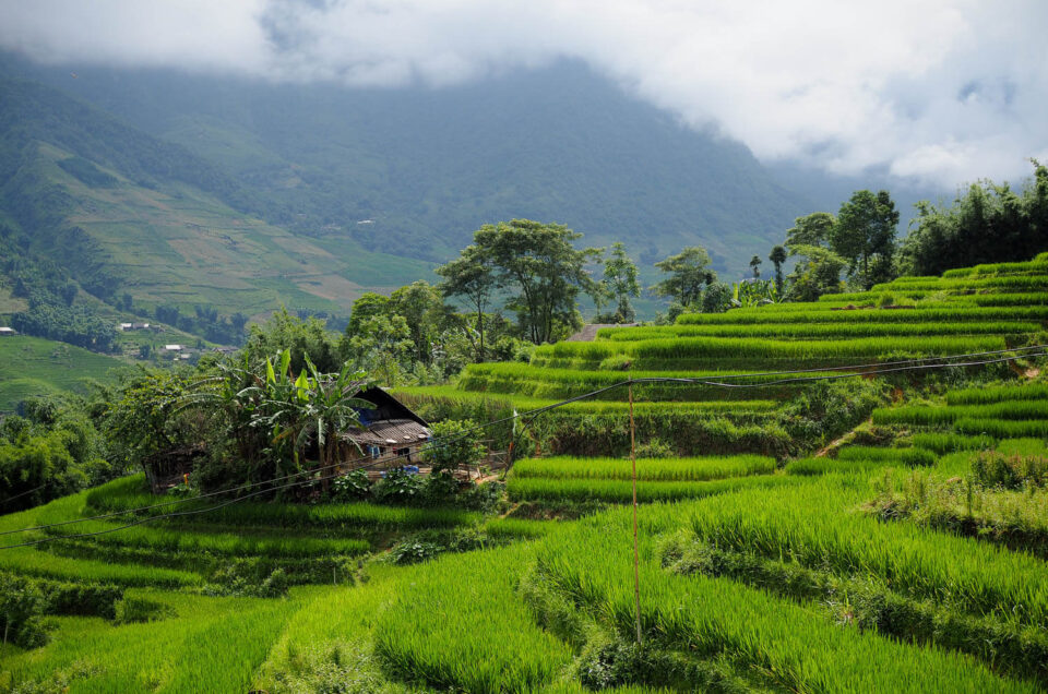 sapa trekking vietnam travel and tours packages best things to do in vietnam travel guide to Hanoi tours Ho Chi Minh City tours Ha Long Bay cruises Mekong Delta exploration Sapa travel Hue heritage tours Hoi An ancient town Nha Trang beach vacations Phu Quoc island escapes